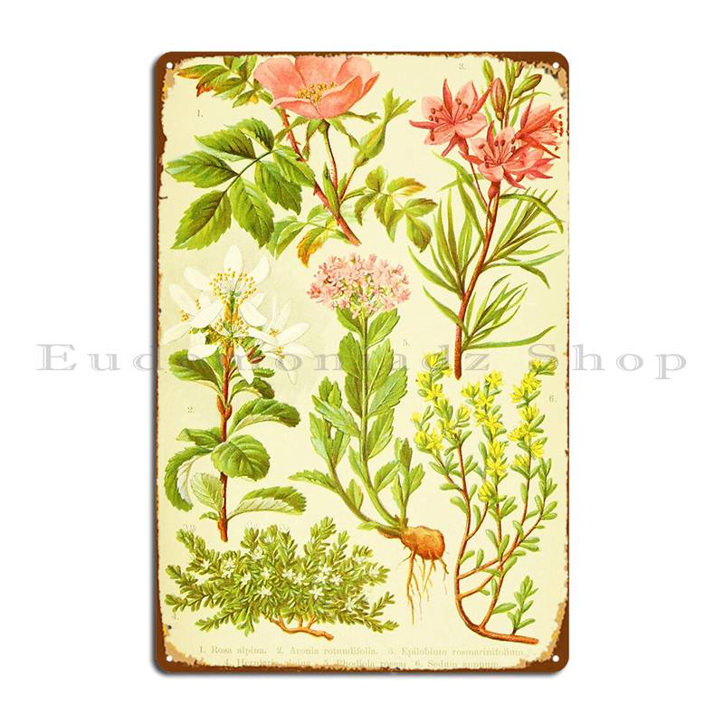 Home Cinema Wall Design - Hd Vintage Blumenstrauß Design Nummer 23,