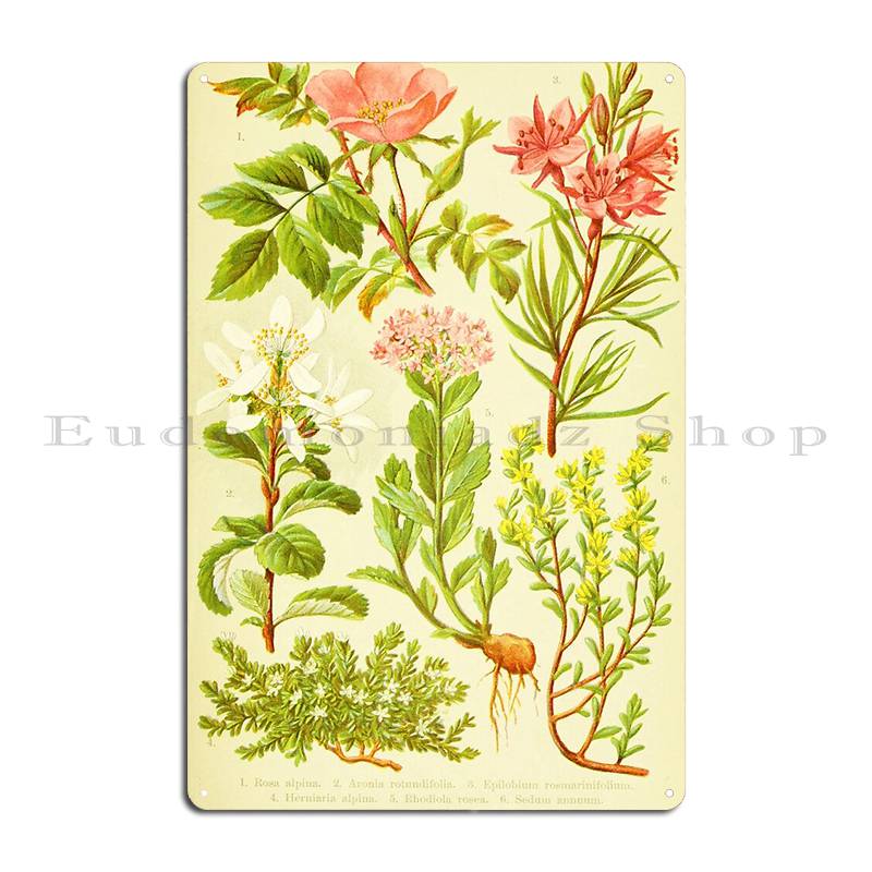 Hd Vintage Blumenstrauß Design – Home Cinema Wall Design Bewertung und Preis