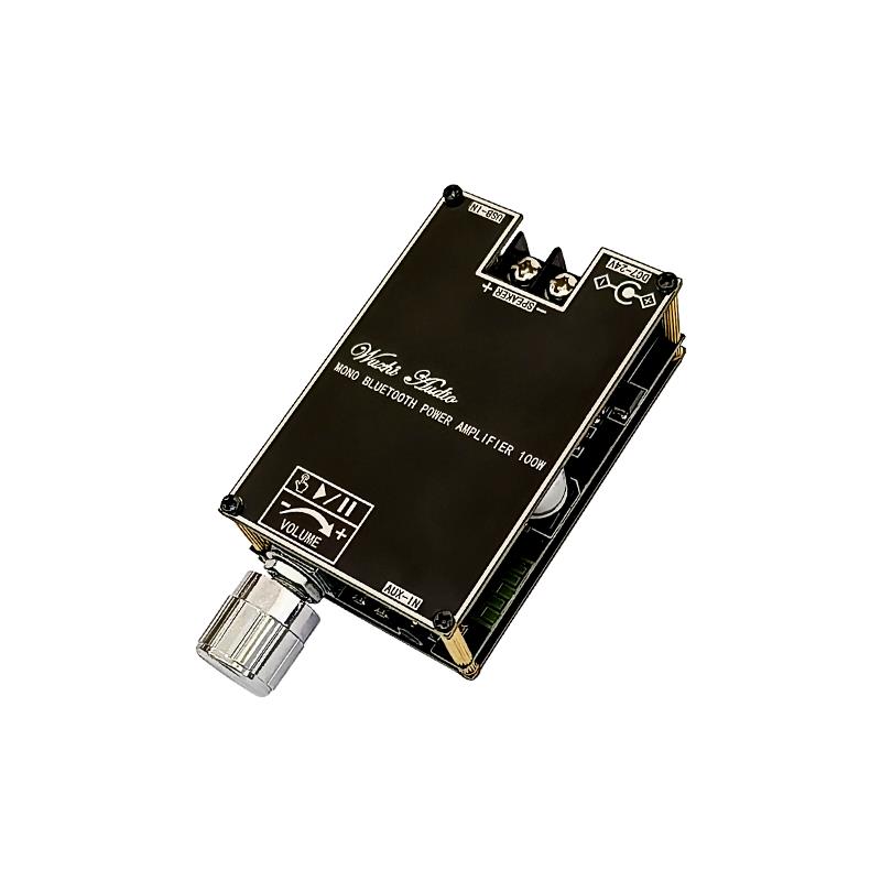 Bluetooth 5.1 TPA3116 D2 Mono  – Home Cinema Choice Bewertung und Preis